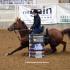 Battle in the Saddle